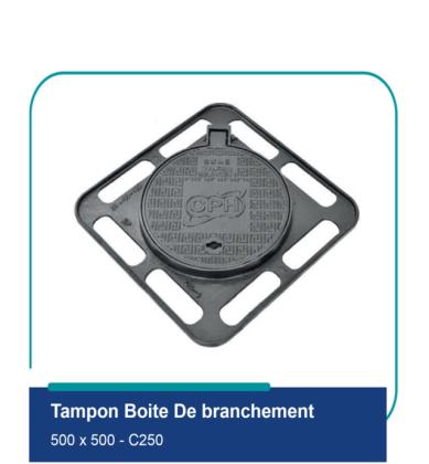 Tampon Boite De Branchement C250
